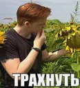 трахнуть