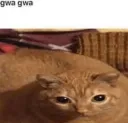 GWA