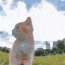 kittenexplore | gg/freekittens