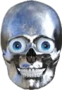 :skull: