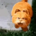 garfield piss 