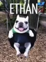 ethan