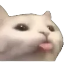 Mlem