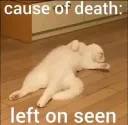 cat ded