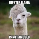 Lama