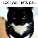 pal