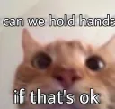 Can we hold hands | /hindustan