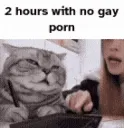 gay porn 