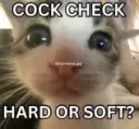 cock_check