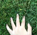 touch grass