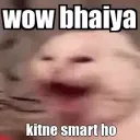 Bhaiya smart hai
