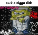suck a nigga dic