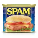 SPAM IC