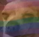 rainbowdog