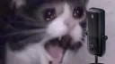 SCREAMING MIC