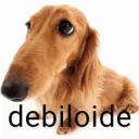 debiloide .gg/finalis