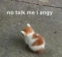 Talk