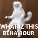 Behaviour