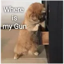 Gun