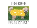 DogCheese