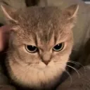 grr