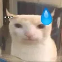 erm