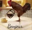 Bonjour