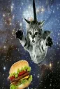 cat hug burger universe