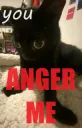 you make me angry
