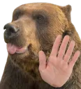 Bear hand