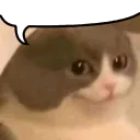 it for not on with he as you i