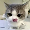 PRXprix | .gg/prixony