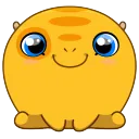 hai