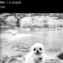 stupid /lonelyheaven