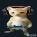 Gamer Cat