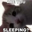 Are You Sleeping