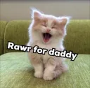 rawr kitten…. Grrr