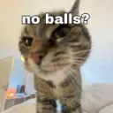 No balls