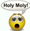 holy moly!