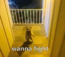 wanna fight?