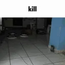 cat kill