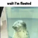wait im floated /blossomhaven