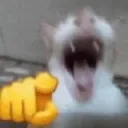 wuajaja