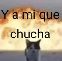 a mi que chucha