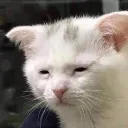 estoy cansado