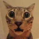 SORPRENDIDOOO