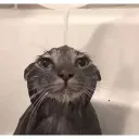 que