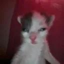 5 am
