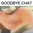 goodbye chat /blossomhaven
