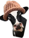 CowWifHat